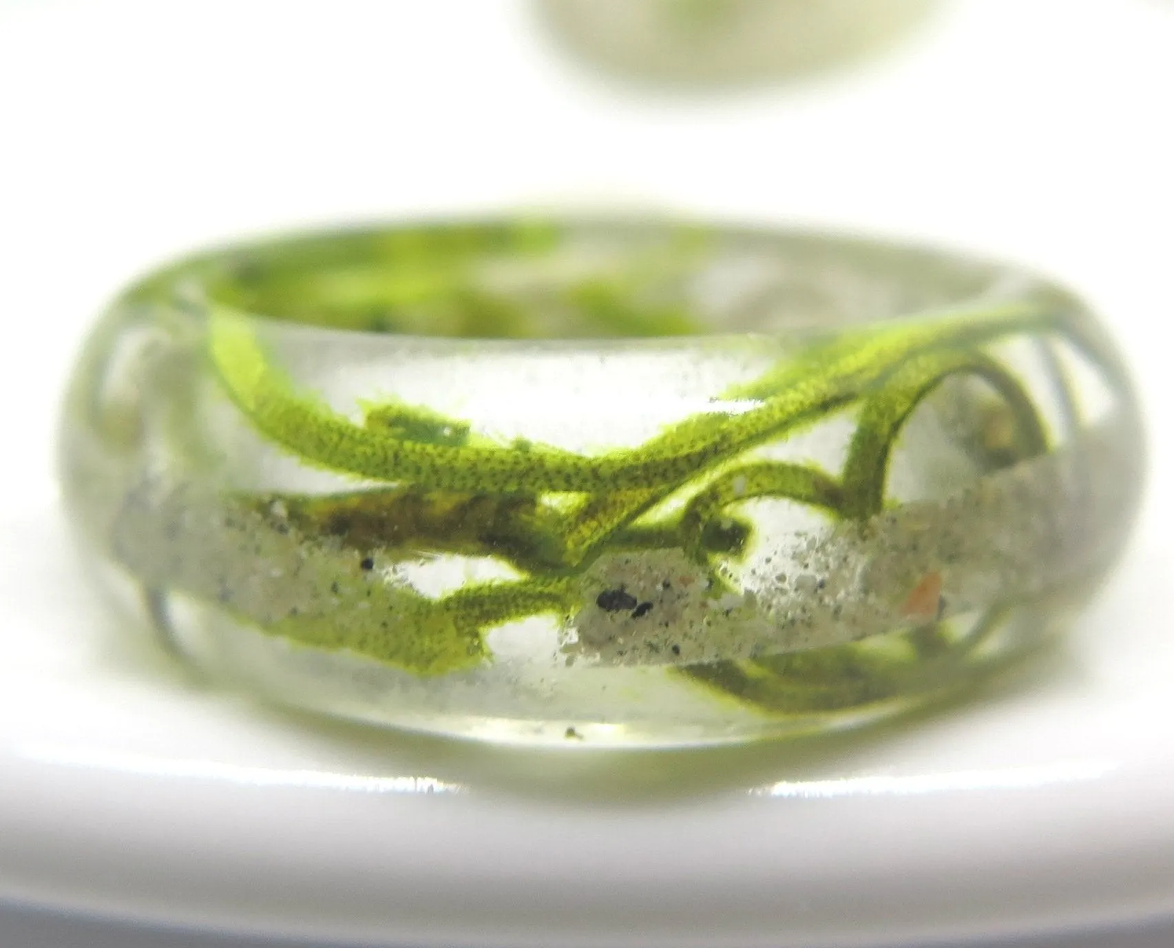 Moss Ring with Cremation Ash